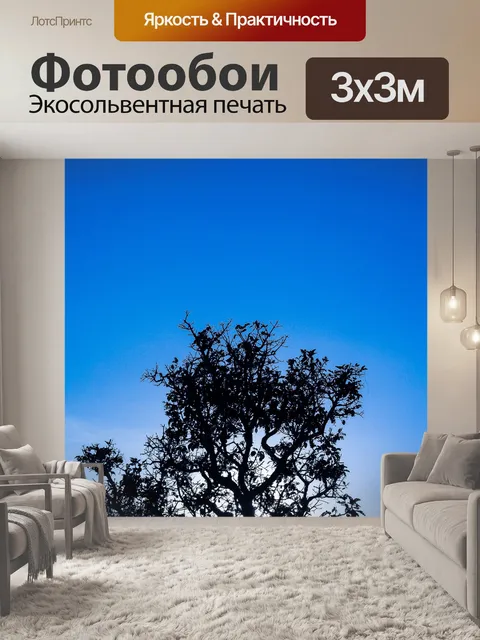 Фотообои Мертвое дерево, силуэт дерева