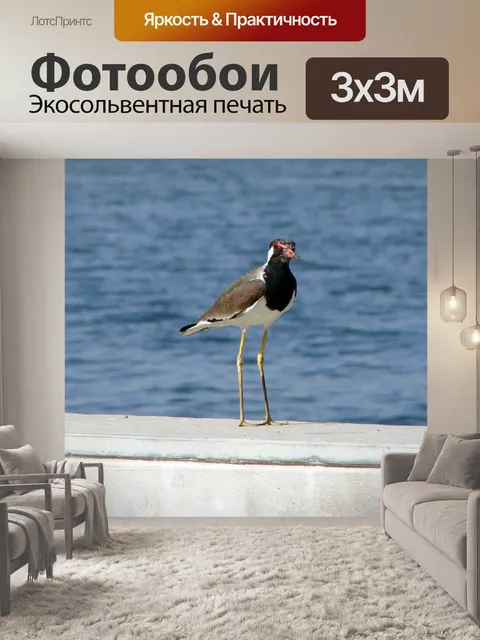 Фотообои Птица