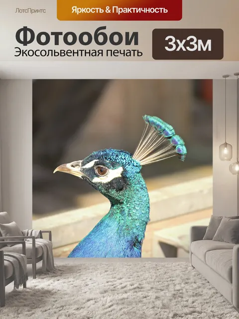 Фотообои Павлин