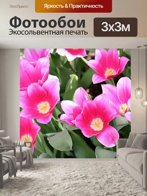 Фотообои Тюльпаны