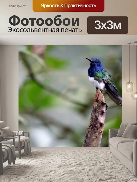 Фотообои Природа
