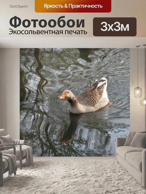 Фотообои Воды