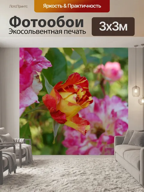 Фотообои Розы