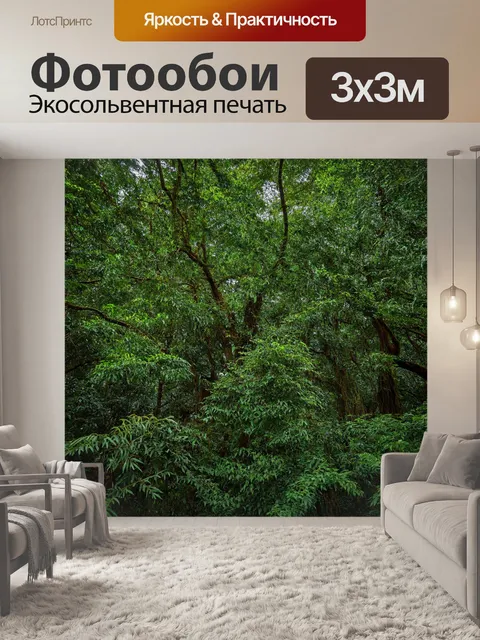 Фотообои экзотический лес с разнообразными формами листьев и необычными деревьями
