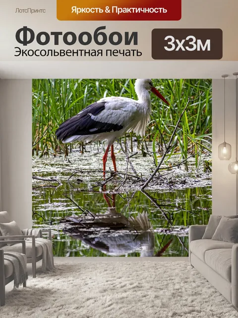 Фотообои Аист