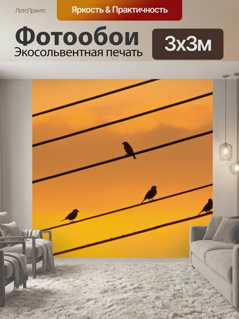 Фотообои Птицы
