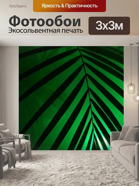 Фотообои Пальма