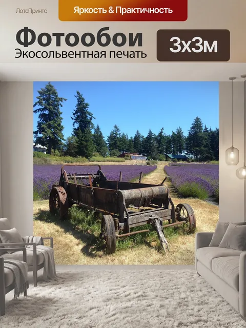 Фотообои Лаванда