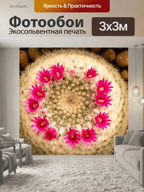 Фотообои Кактус пустынное растение