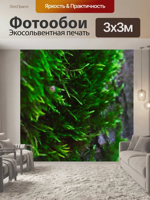 Фотообои Мох