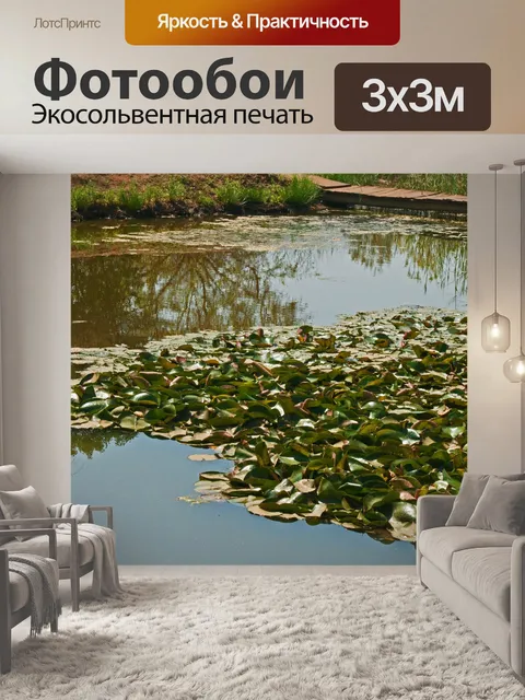 Фотообои водные растения на пруду с дорожкой
