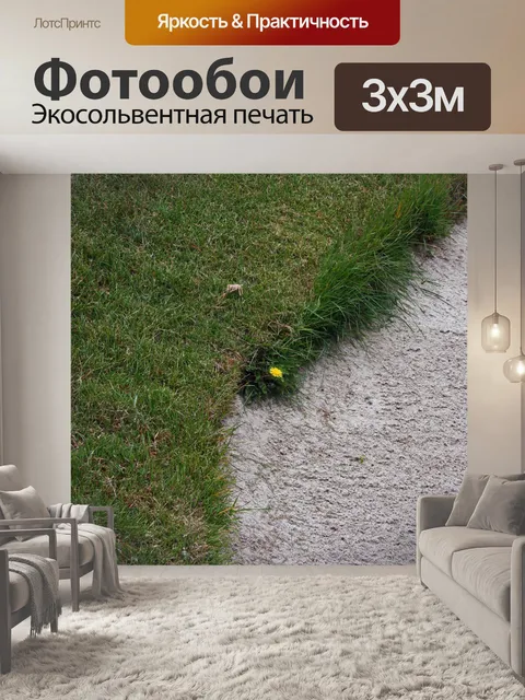 Фотообои Одинокий одуванчик в bunker