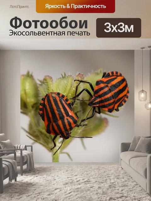 Фотообои Животные
