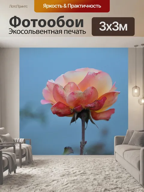 Фотообои Розы