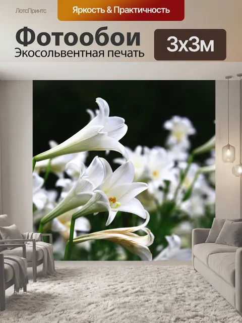 Фотообои Лилия длинноцветковая, пасхальная лилия