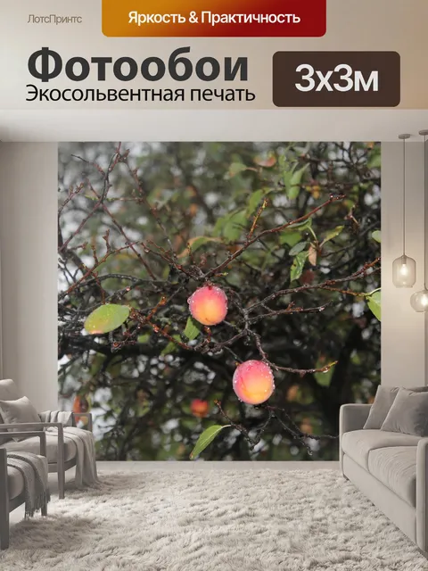 Фотообои Слива