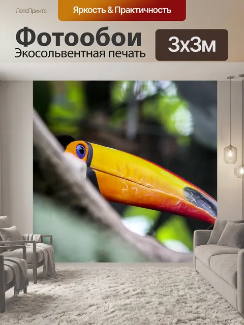 Фотообои Тукан