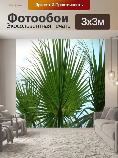 Фотообои Пальма