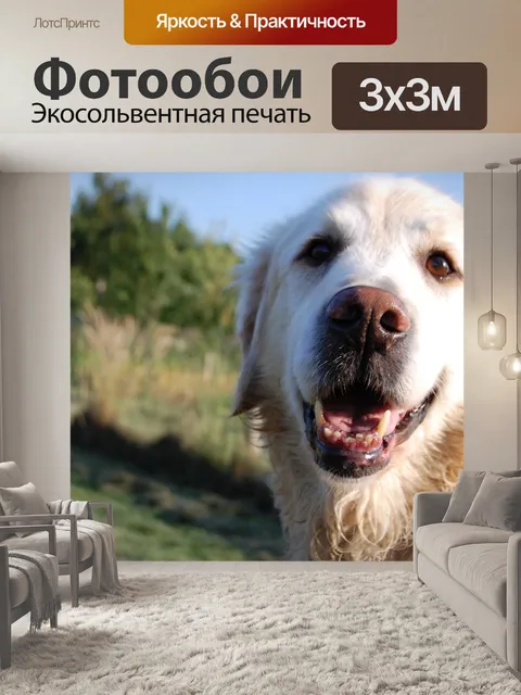 Фотообои Собака