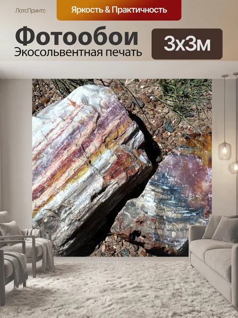 Фотообои Окаменел