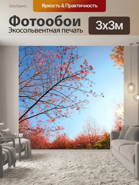Фотообои Prunus cerasoides, дикая гималайская виш