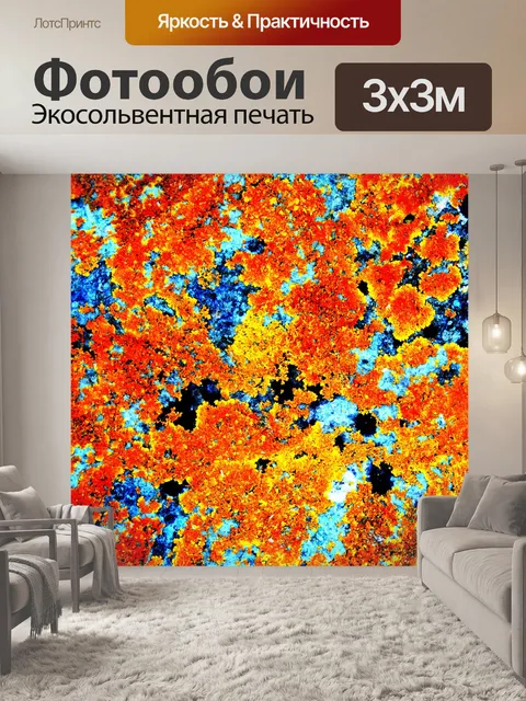 Фотообои изучение камня на пляже