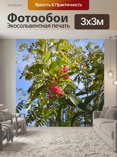Фотообои Природа