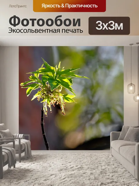 Фотообои Ветка