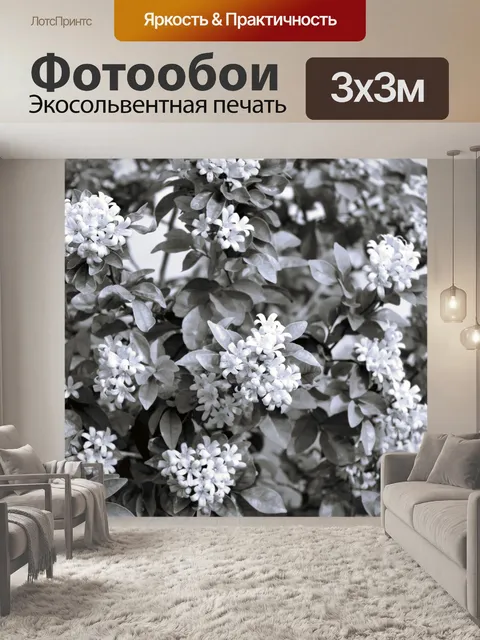 Фотообои Муррая 1