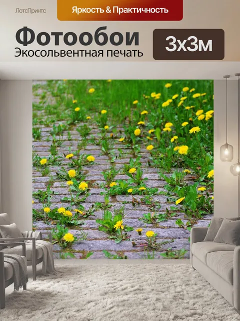 Фотообои Одуванчик