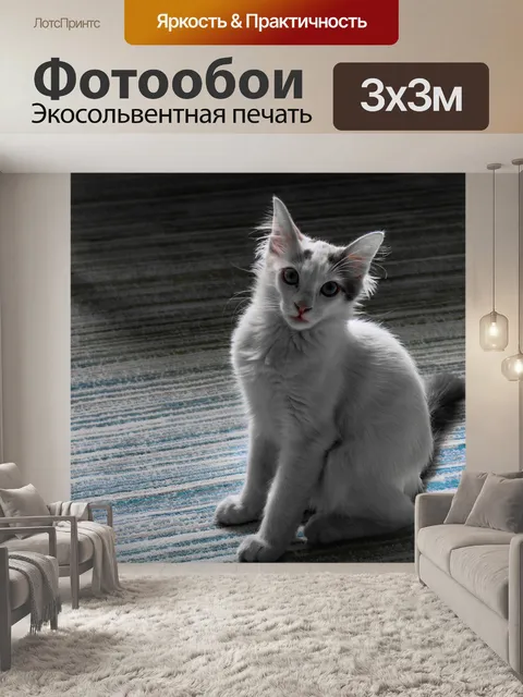 Фотообои Кошка