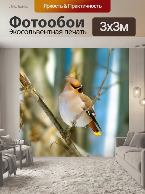 Фотообои Зима