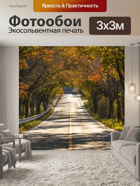 Фотообои Дорога