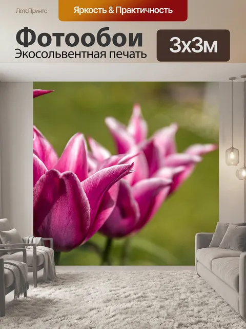 Фотообои Тюльпаны