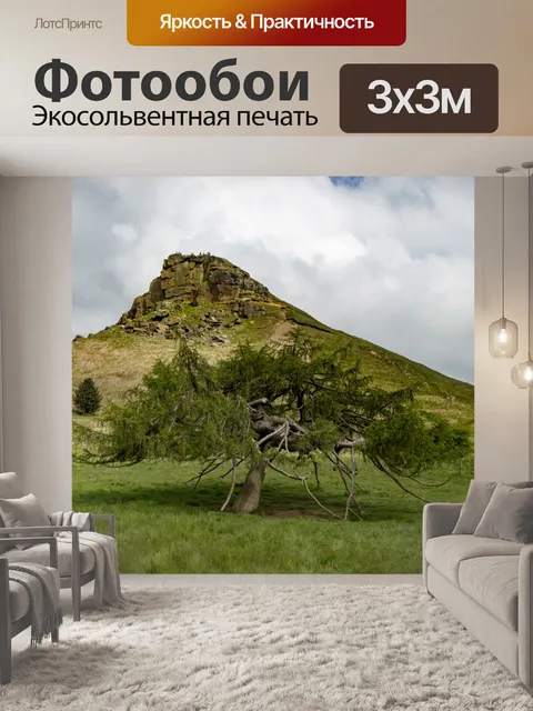Фотообои Roseberry Топпинг