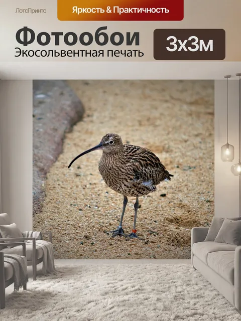 Фотообои Птица