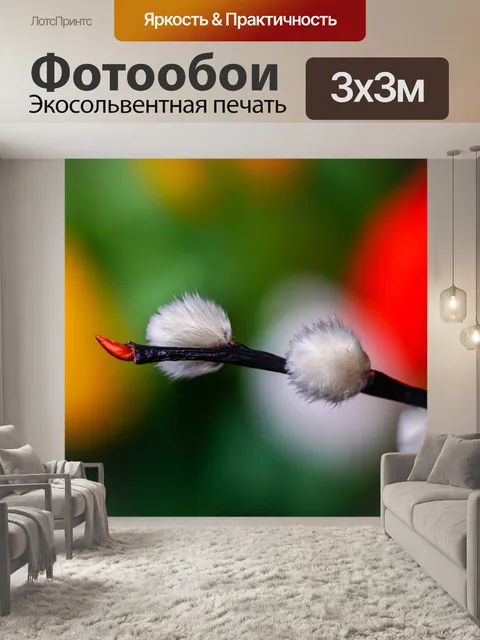 Фотообои Блоссом котенка