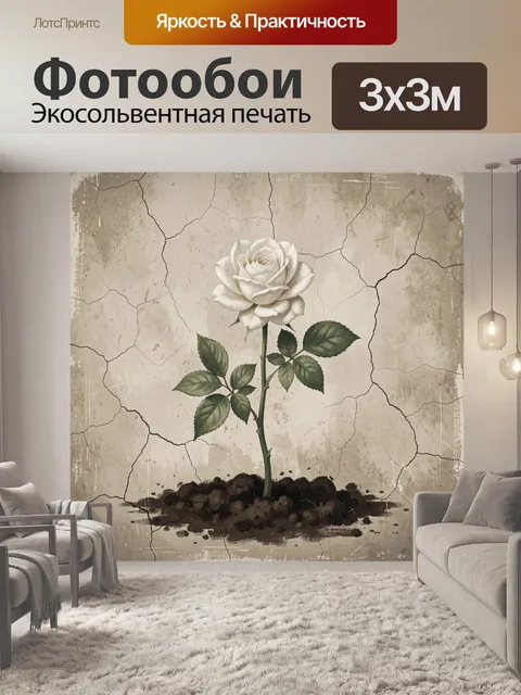 Фотообои Белая роза на растрескавшейся земле