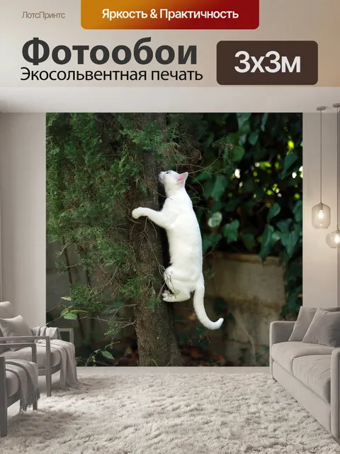 Фотообои Животное
