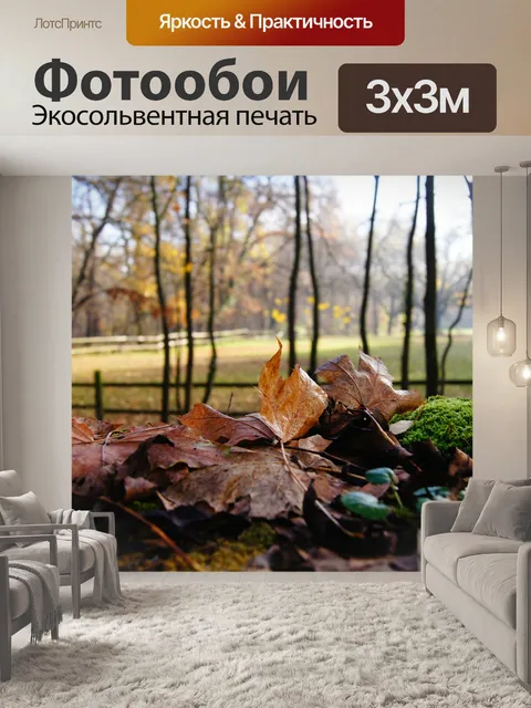 Фотообои Падение