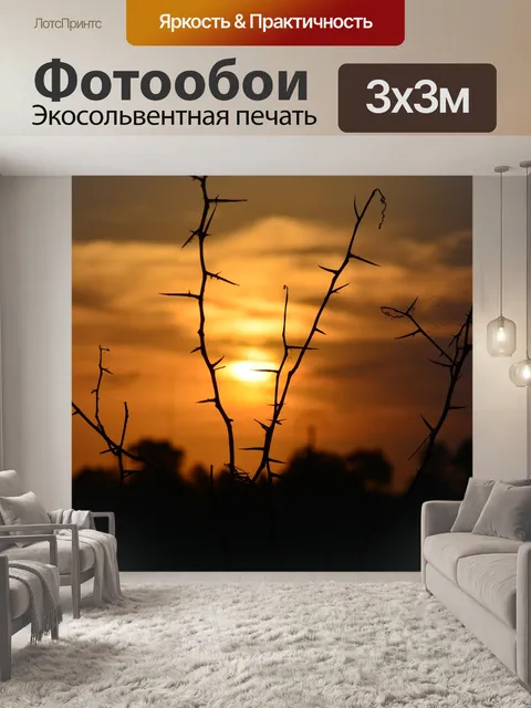 Фотообои Закат