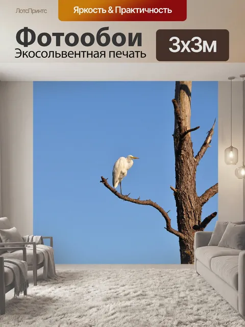Фотообои Птица