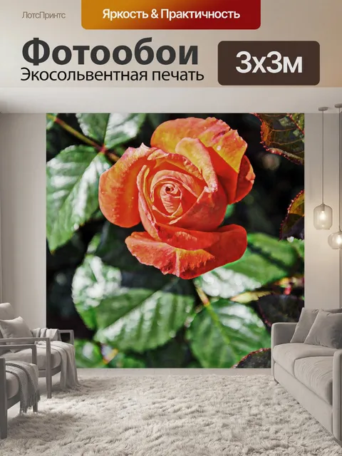 Фотообои Оранжевые розы
