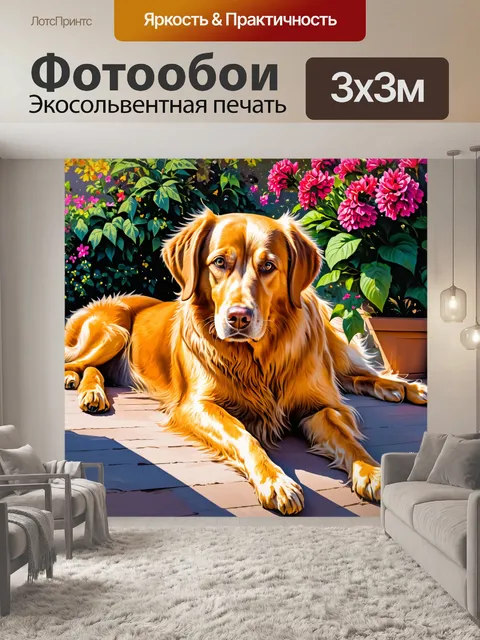 Фотообои золотистый ретривер, грелся на солнце, лежа на террасе с цветами вокруг