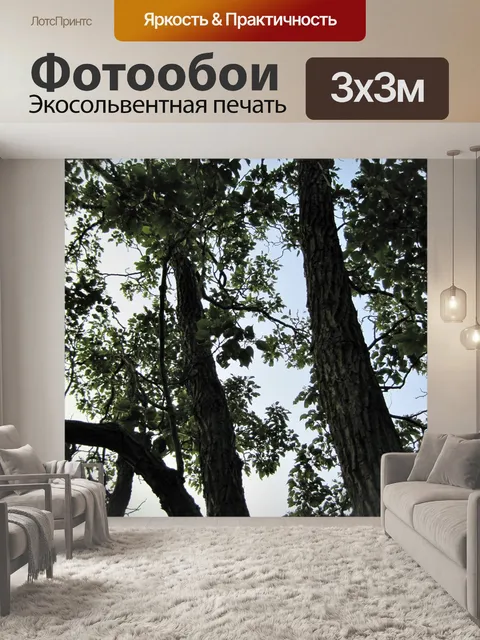 Фотообои стволы деревьев и ветки