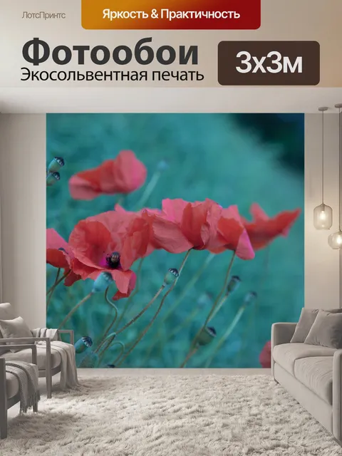 Фотообои Красный мак
