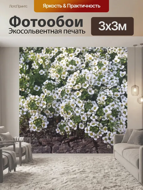 Фотообои Белый