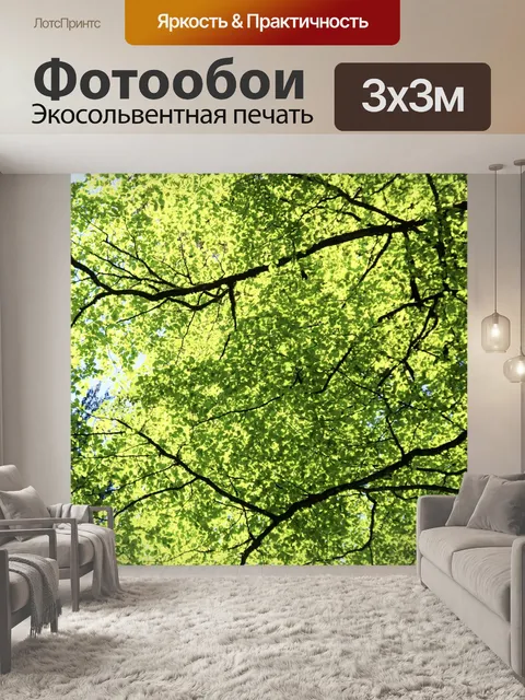 Фотообои Лес