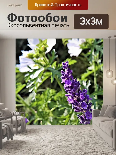 Фотообои Лаванда