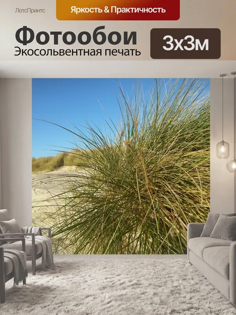 Фотообои Песчаные дюны